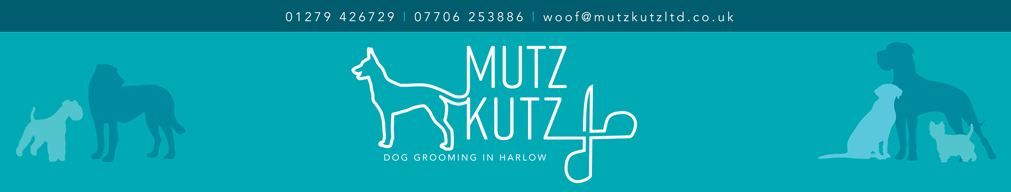 Dog Grooming Harlow